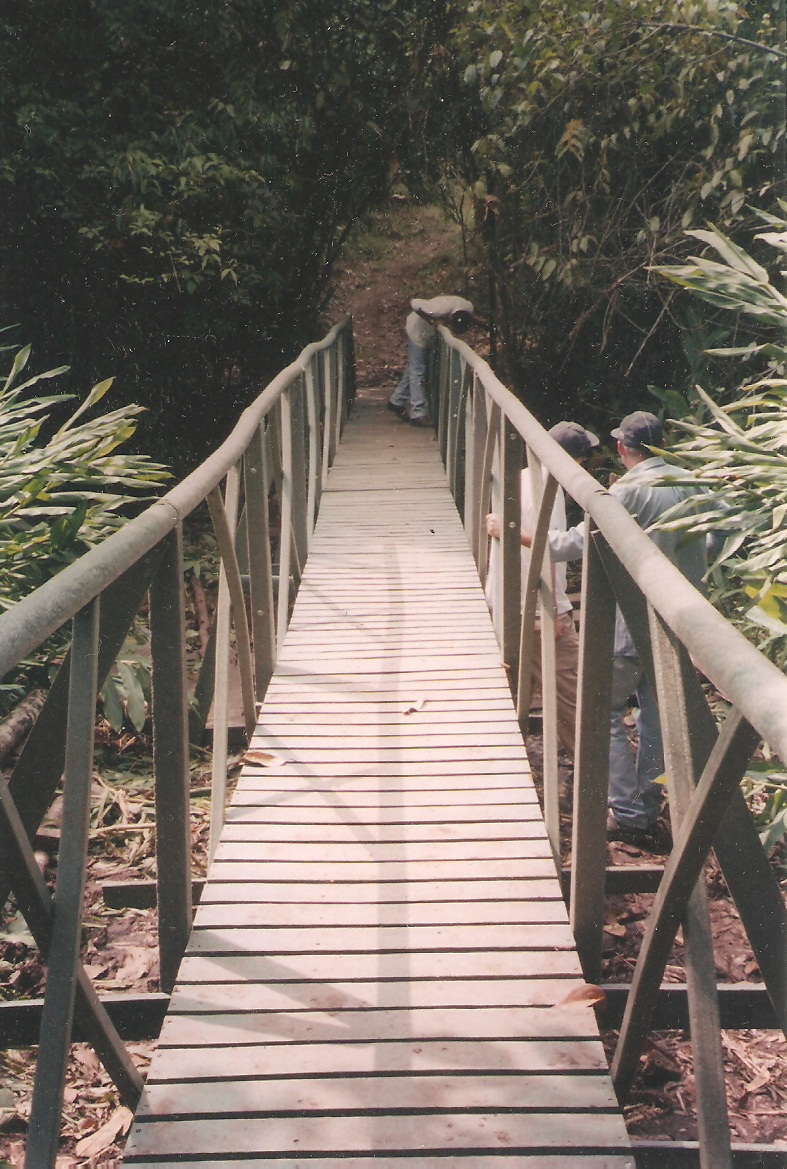 puente en madera plástica maderplast cruzar pantano humedal ríos riachuelos caños puente metálico plástico puente concreto plástico distrito de riego agrícola caño rio riachuelo quebradas 0005 puente en madera plástica maderplast cruzar pantano humedal ríos riachuelos caños puente metálico plástico puente concreto plástico distrito de riego agrícola caño rio riachuelo quebradas 0005